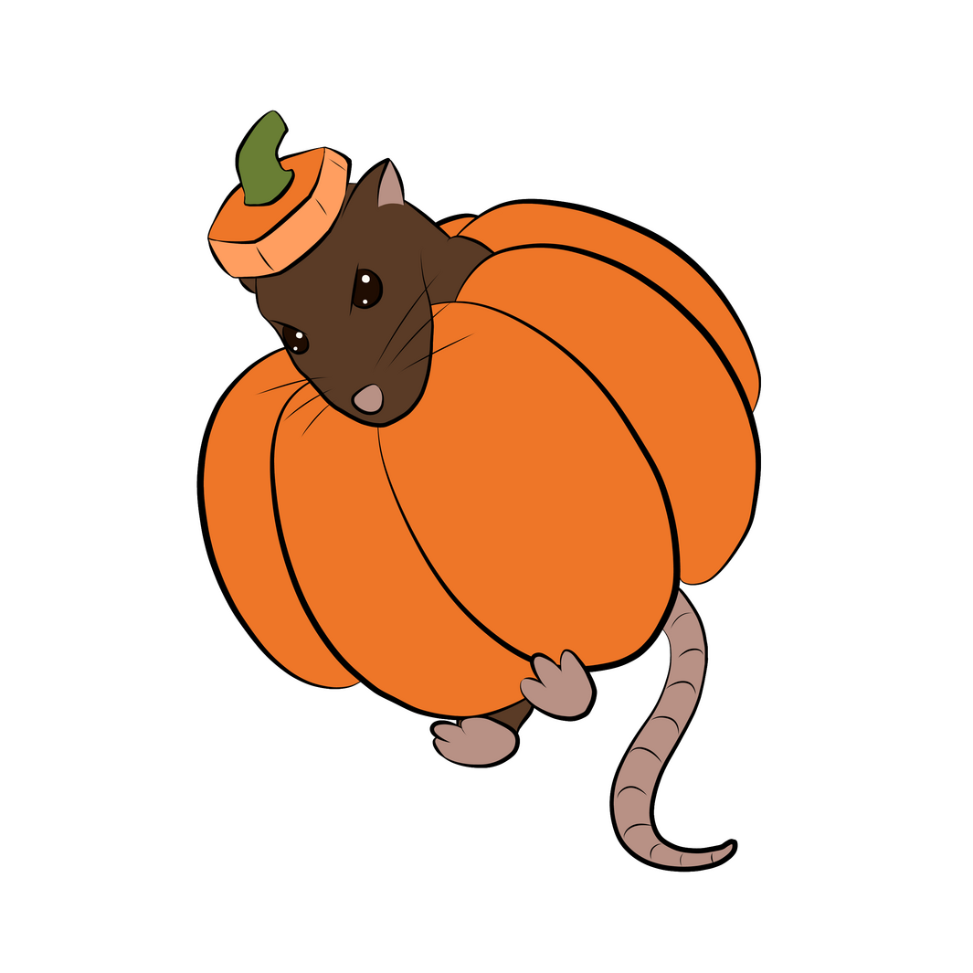 Pumpkin Rat
